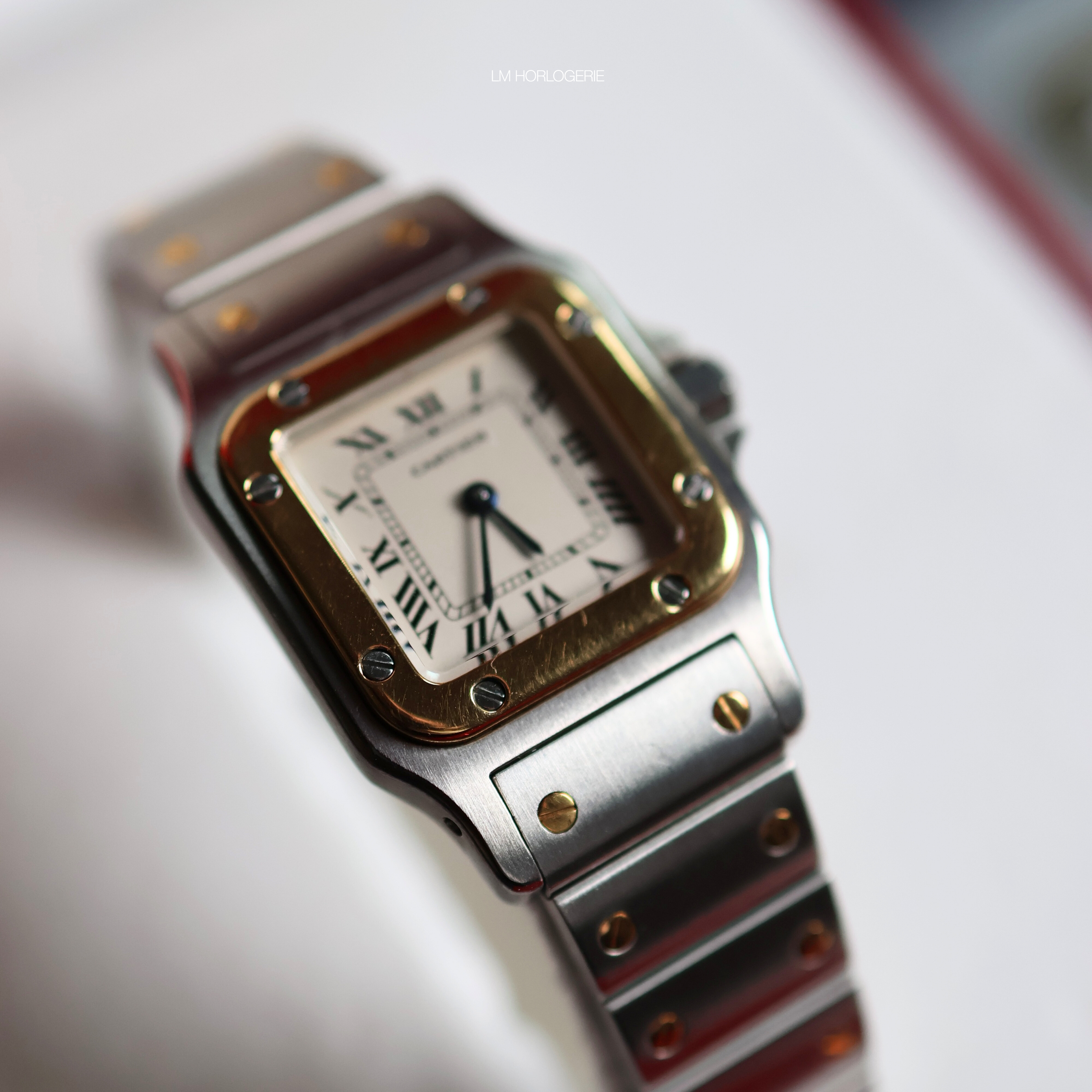 Cartier Santos W20012C401