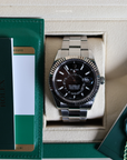 Rolex Sky-Dweller 326934